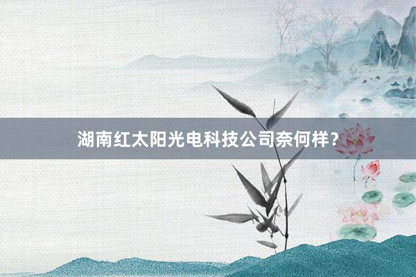 湖南红太阳光电科技公司奈何样？